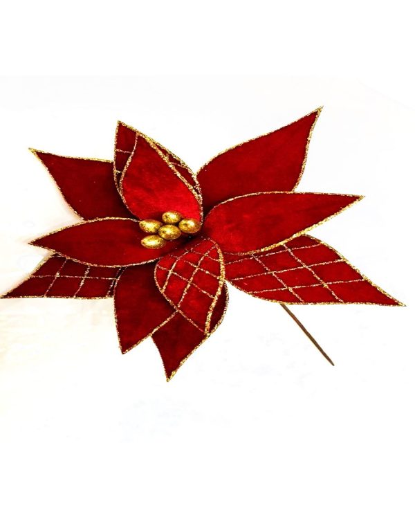 POINSETTIA, WITH GOLD DETAILING
